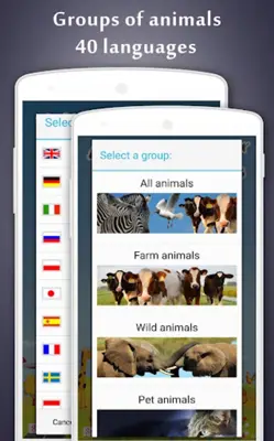 Animal Sounds android App screenshot 2