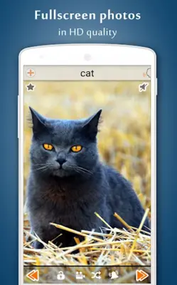 Animal Sounds android App screenshot 3