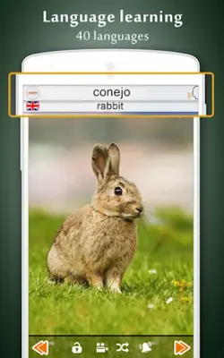 Animal Sounds android App screenshot 4